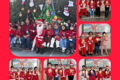 Pic4-291225