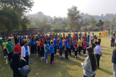 Pic15-291025