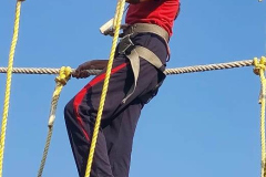 Pic37-291025