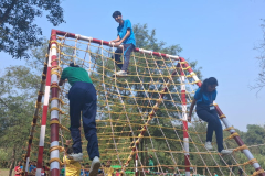 Pic74-291025