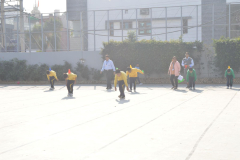 Pic69-271124