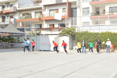 Pic76-271124