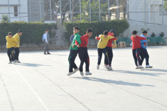 Pic95-271124