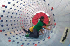 WhatsApp-Image-2024-08-29-at-11.31.51_69374002